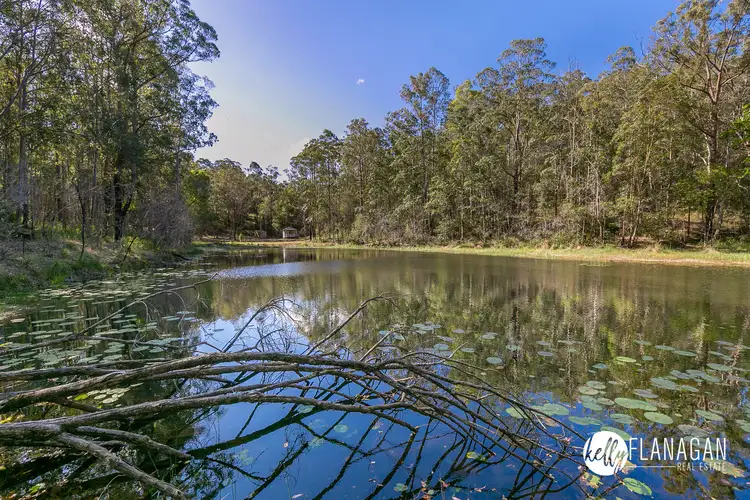 Second view of Homely rural property listing, 14 Earth First Road, Mungay Creek NSW 2440