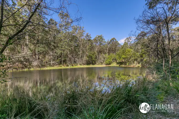 Third view of Homely rural property listing, 14 Earth First Road, Mungay Creek NSW 2440