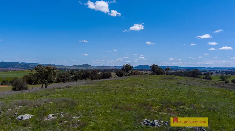Main view of Homely rural property listing, LOT 5, 705 Springfield Lane, Gulgong NSW 2852