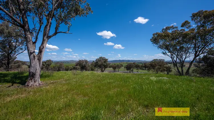 Third view of Homely rural property listing, LOT 5, 705 Springfield Lane, Gulgong NSW 2852
