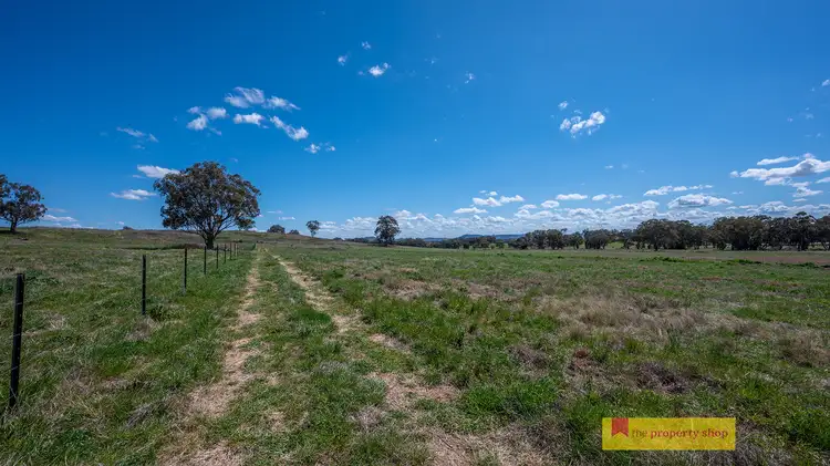 Fourth view of Homely rural property listing, LOT 5, 705 Springfield Lane, Gulgong NSW 2852