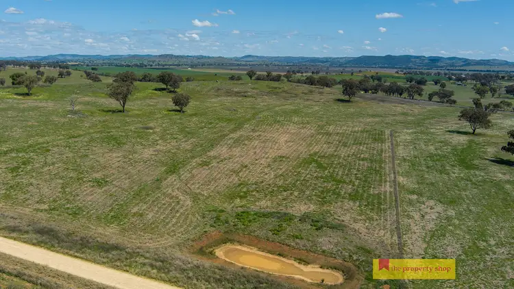 Fifth view of Homely rural property listing, LOT 5, 705 Springfield Lane, Gulgong NSW 2852