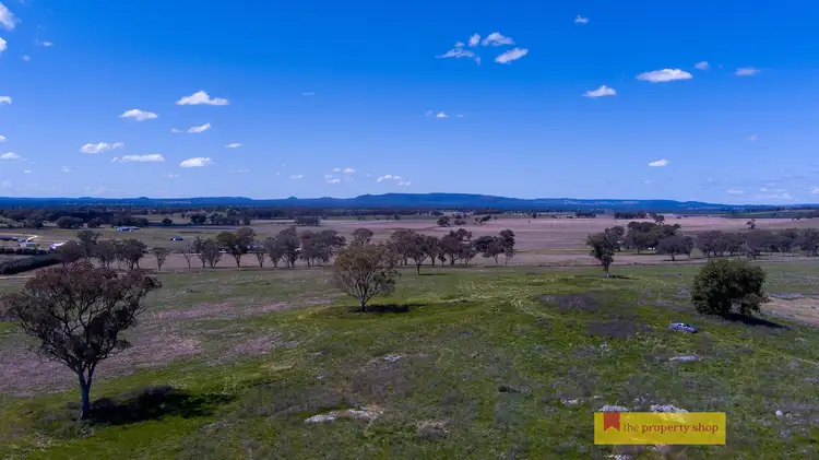 Main view of Homely rural property listing, LOT 6, 705 Springfield Lane, Gulgong NSW 2852