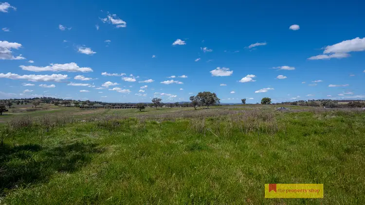 Second view of Homely rural property listing, LOT 6, 705 Springfield Lane, Gulgong NSW 2852