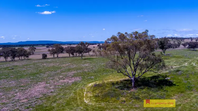 Third view of Homely rural property listing, LOT 6, 705 Springfield Lane, Gulgong NSW 2852