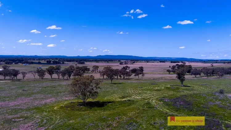 Fourth view of Homely rural property listing, LOT 6, 705 Springfield Lane, Gulgong NSW 2852