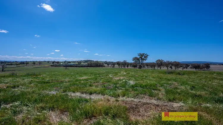 Sixth view of Homely rural property listing, LOT 6, 705 Springfield Lane, Gulgong NSW 2852