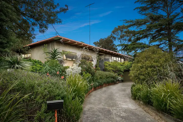 233-235 West Fyans Street, Newtown VIC 3220