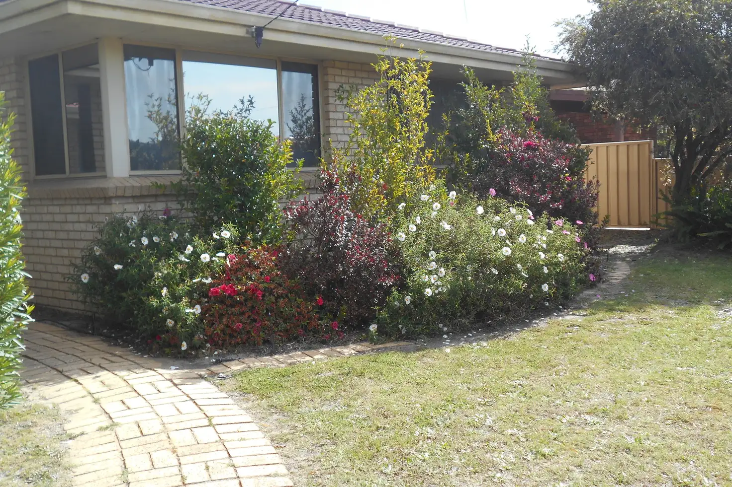 Main view of Homely house listing, 1 Swan Avenue, Collie WA 6225