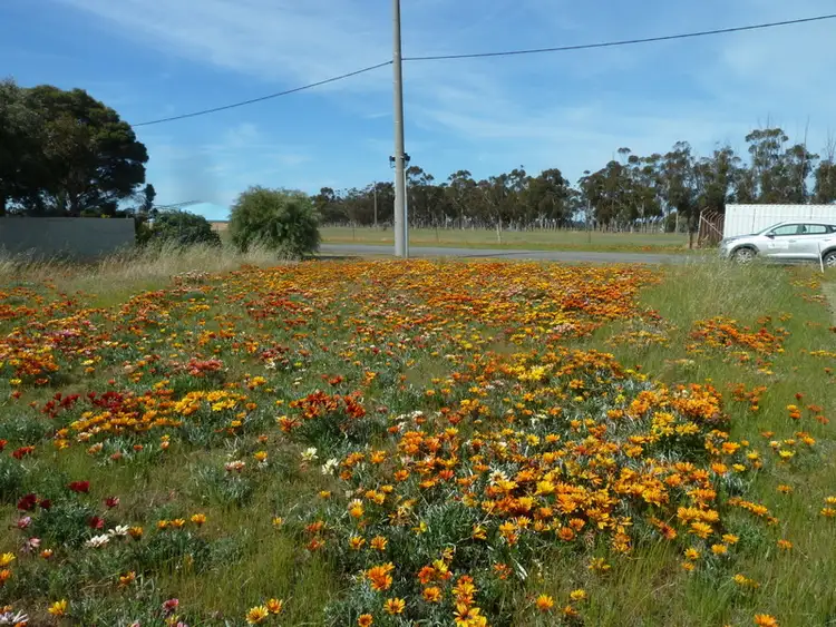 Fourth view of Homely rural property listing, 62 Davies Street, Charlton VIC 3525