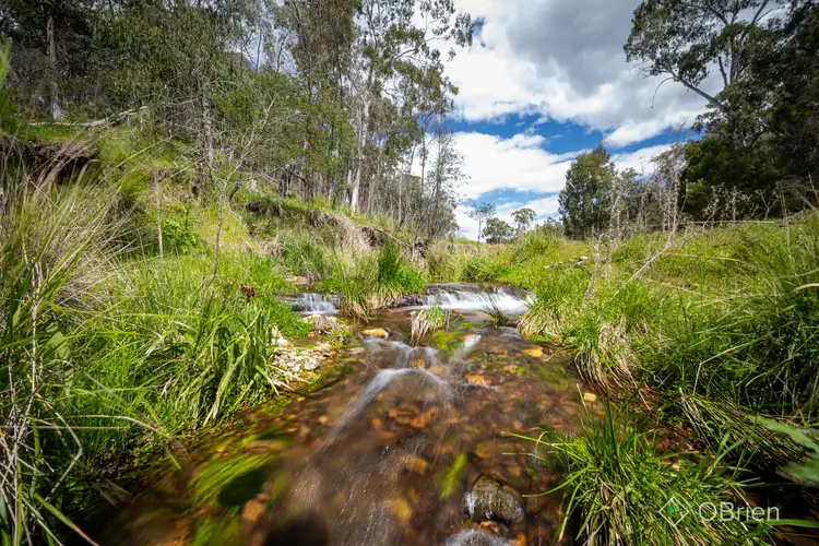 Main view of Homely rural property listing, 326 Lake Buffalo-Whitfield Road, Whitfield VIC 3733