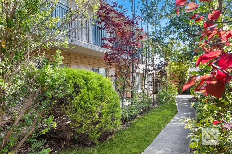 Main view of Homely unit listing, 6/4 Macklin Street, Hyde Park SA 5061