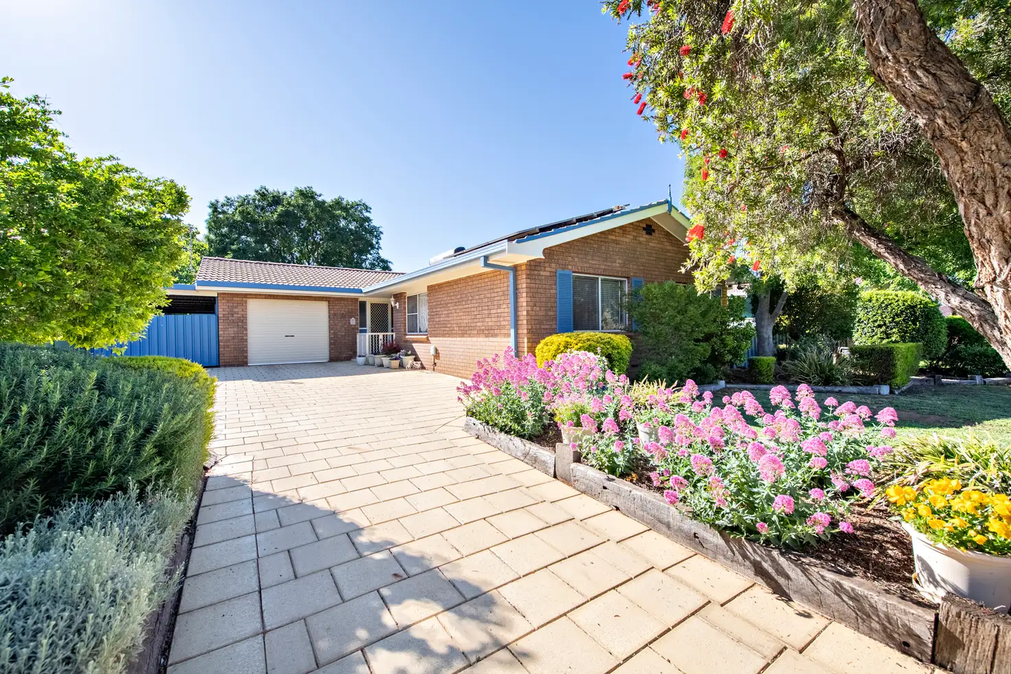 Main view of Homely house listing, 11 Oxley Circle, Dubbo NSW 2830