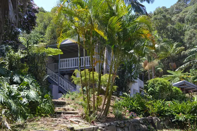 Main view of Homely house listing, 41 Brushbox Drive, Mullumbimby Creek NSW 2482