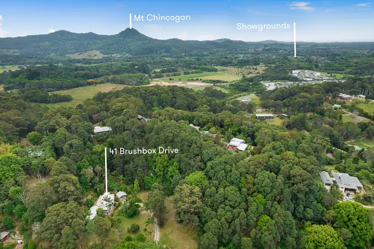 Fourth view of Homely house listing, 41 Brushbox Drive, Mullumbimby Creek NSW 2482