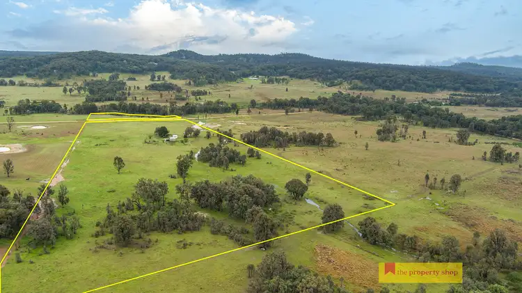 Main view of Homely rural property listing, 166 White Cedars Road, Mudgee NSW 2850