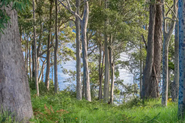 Fourth view of Homely land listing, 58 Kings Point Drive, Kings Point NSW 2539