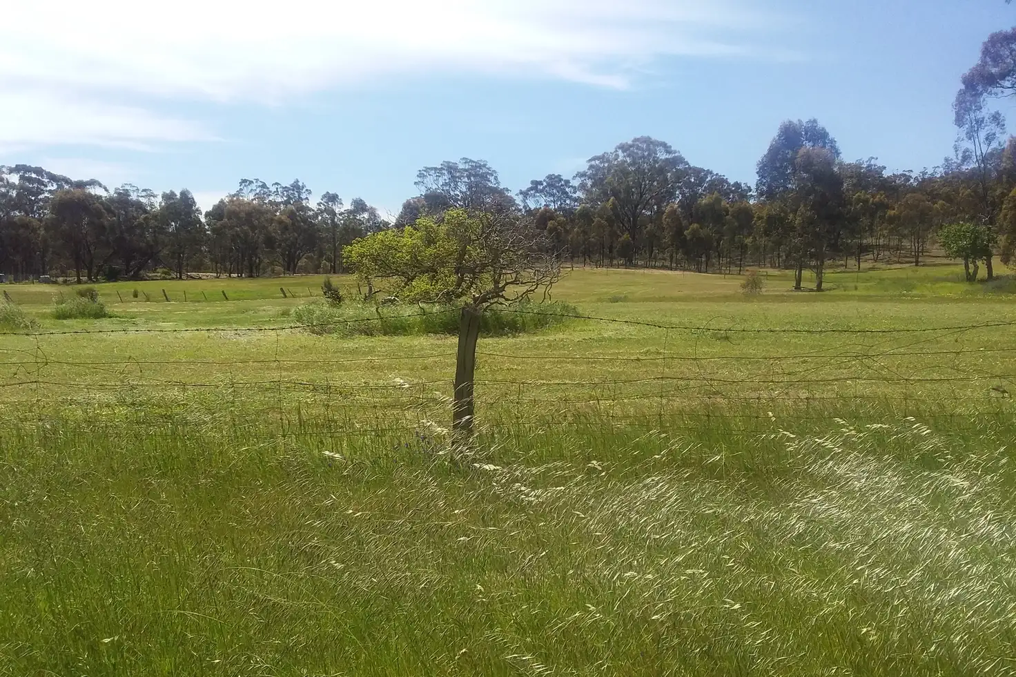 Main view of Homely rural property listing, Lot 1 on TP 870701 Eddington-Dunolly Road, Dunolly VIC 3472
