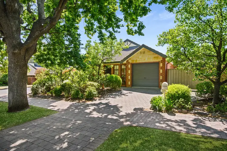 16A Orient Road, Kensington Gardens SA 5068
