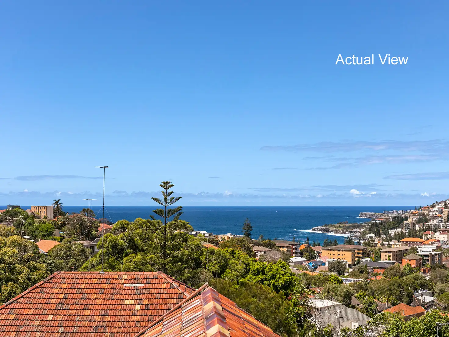 Main view of Homely apartment listing, 3/45 Moira Crescent, Coogee NSW 2034