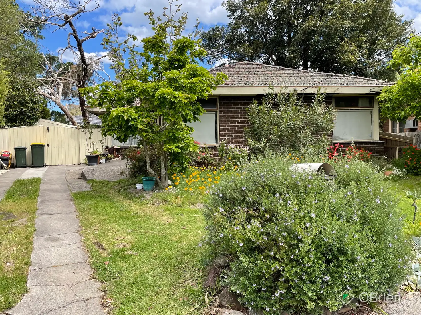 Main view of Homely house listing, 3 Gaynor Court, Frankston VIC 3199