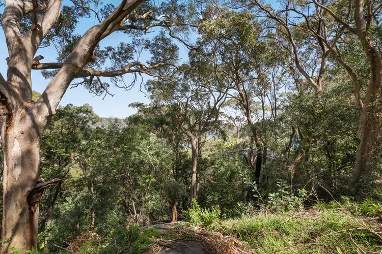 Seventh view of Homely land listing, 63 Loombah Street, Bilgola Plateau NSW 2107