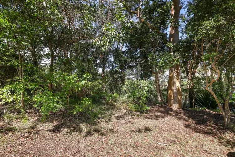 Fifth view of Homely land listing, 61 Loombah Street, Bilgola Plateau NSW 2107