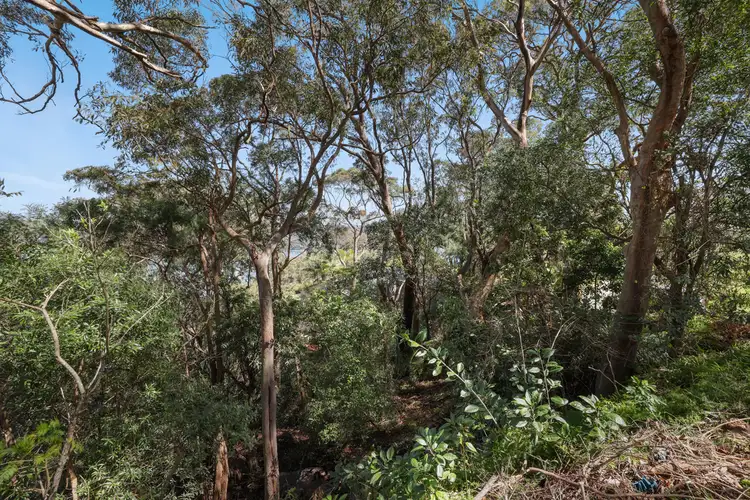 Sixth view of Homely land listing, 61 Loombah Street, Bilgola Plateau NSW 2107