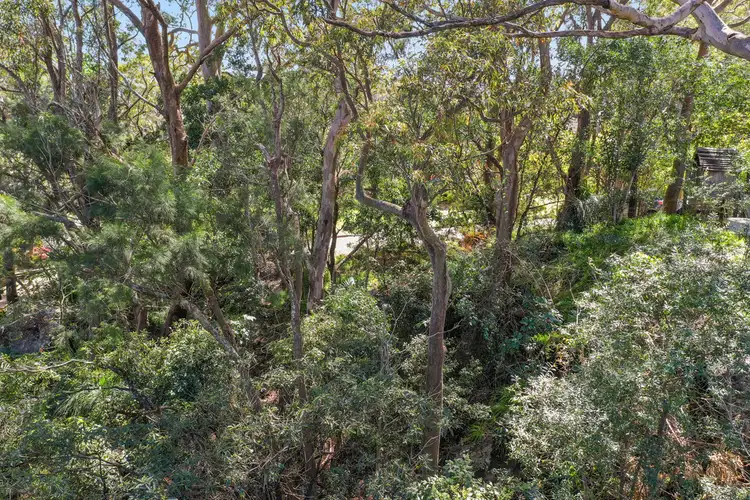 Seventh view of Homely land listing, 61 Loombah Street, Bilgola Plateau NSW 2107