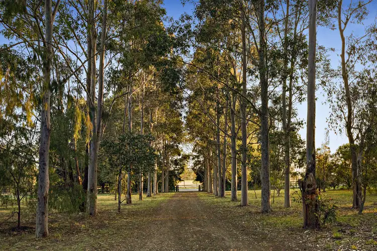 Second view of Homely house listing, 180 Wilderness Road, Lovedale NSW 2325