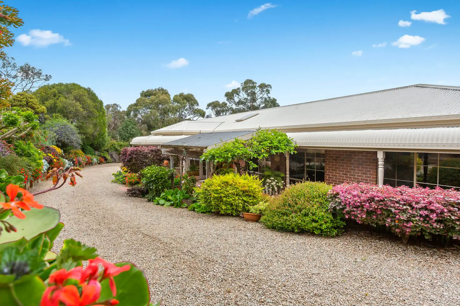 Main view of Homely house listing, 20 Silkhorn Crescent, Mount Martha VIC 3934