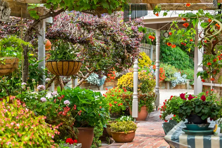 Third view of Homely house listing, 20 Silkhorn Crescent, Mount Martha VIC 3934