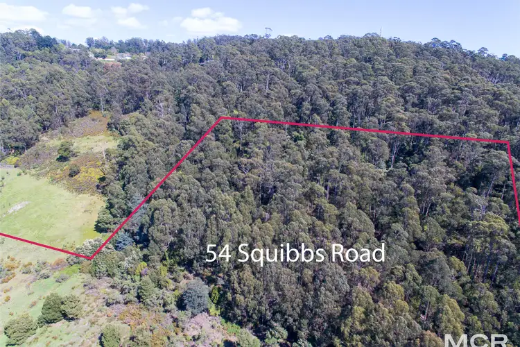 Seventh view of Homely land listing, 54 Squibbs Road, Spreyton TAS 7310