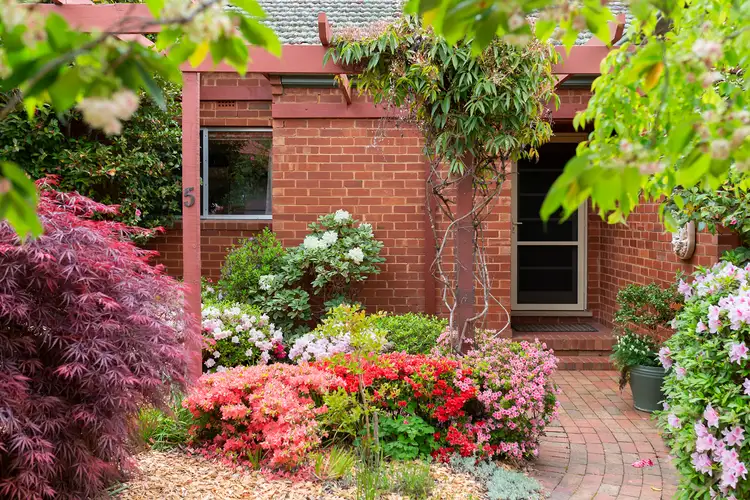5 Ebden Street, Ainslie ACT 2602