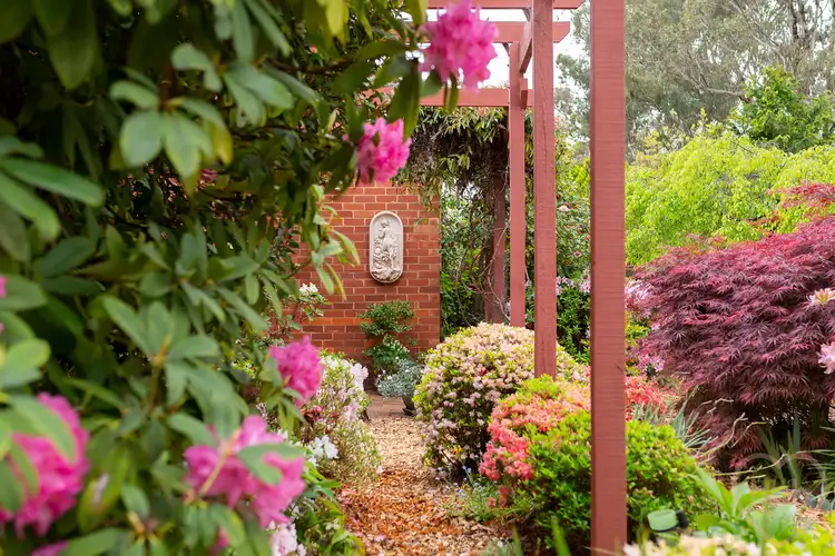 Fifth view of Homely house listing, 5 Ebden Street, Ainslie ACT 2602