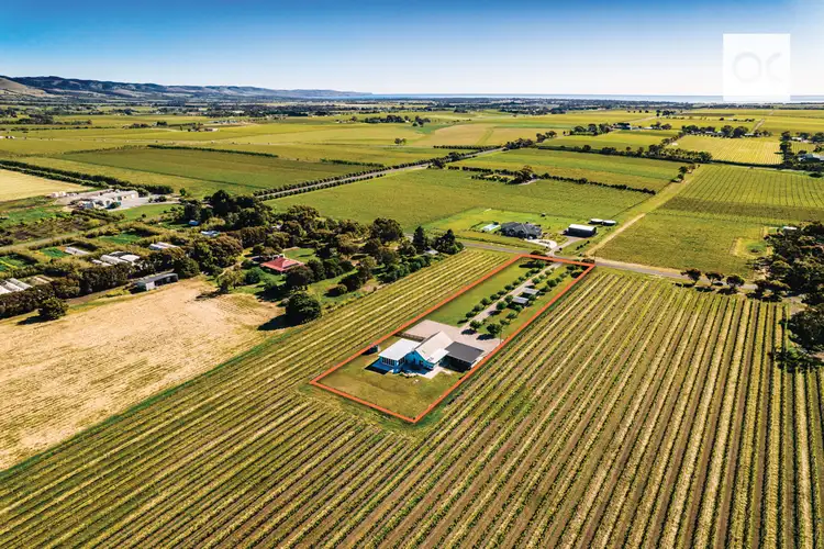 146 Pethick Road, Mclaren Vale SA 5171