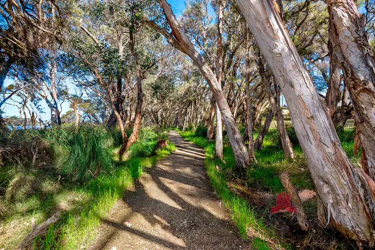 Seventh view of Homely land listing, 55 Lucy Victoria Avenue, Australind WA 6233