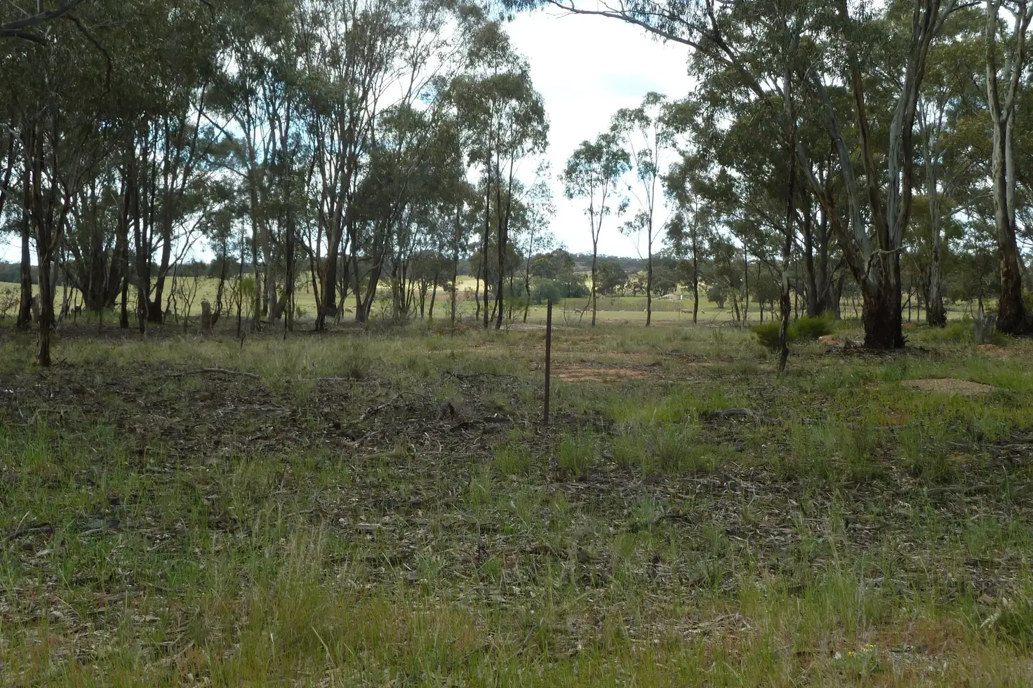 Main view of Homely rural property listing, CA9D Woolshed Flat Road, Wedderburn VIC 3518