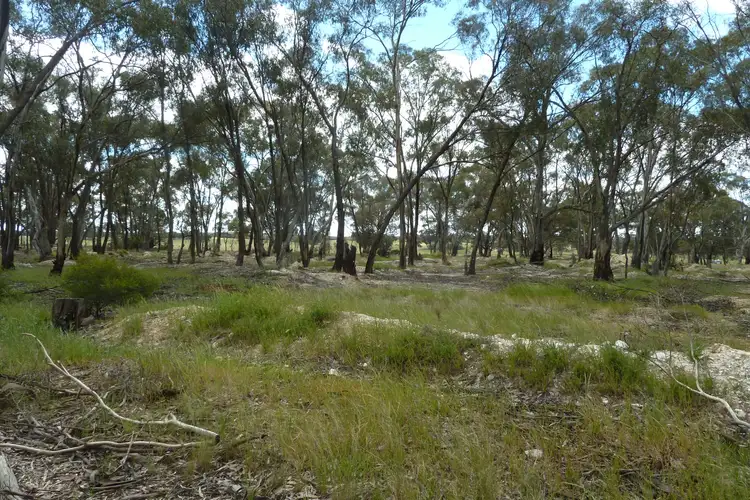 Fifth view of Homely rural property listing, CA9D Woolshed Flat Road, Wedderburn VIC 3518