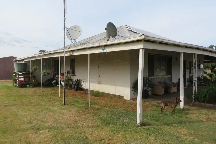 Fifth view of Homely rural property listing, 14 Bell Street, Borung VIC 3518