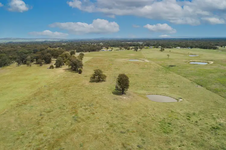 Second view of Homely rural property listing, 556 Cypress Drive, Mudgee NSW 2850