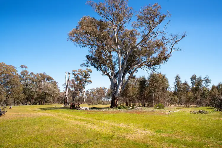 Seventh view of Homely land listing, 125 Troys Road, Walmer VIC 3463