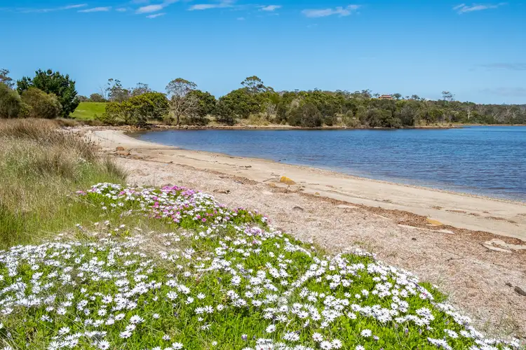 Fourth view of Homely rural property listing, Lot 4/172 Primrose Sands Road, Carlton River TAS 7173