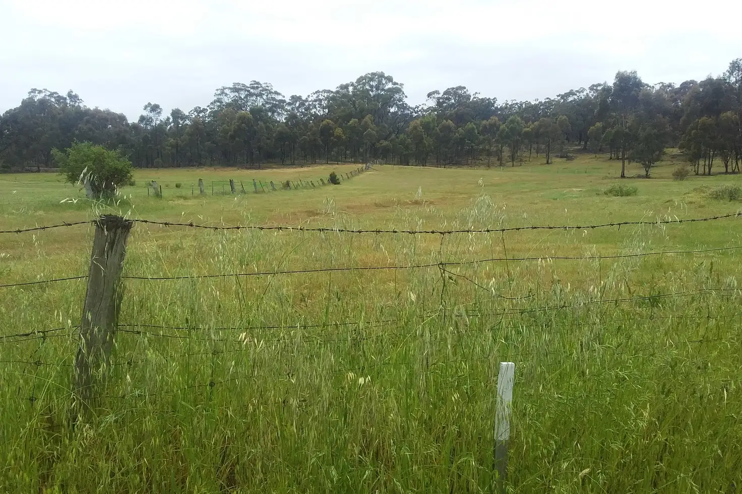 Main view of Homely rural property listing, Lot 1 on TP807073L Eddington-Dunolly Road, Dunolly VIC 3472