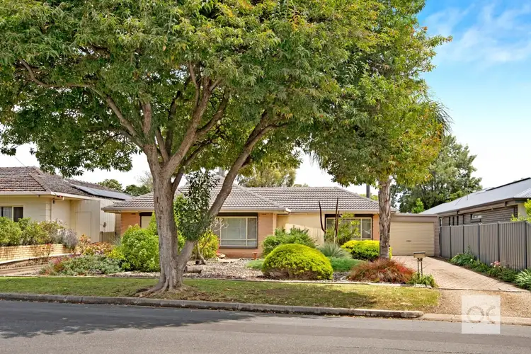 38 Edmund Avenue, Paradise SA 5075