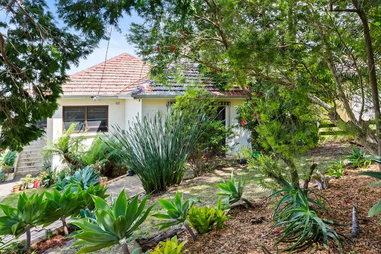 7 McDonald Street, Freshwater NSW 2096
