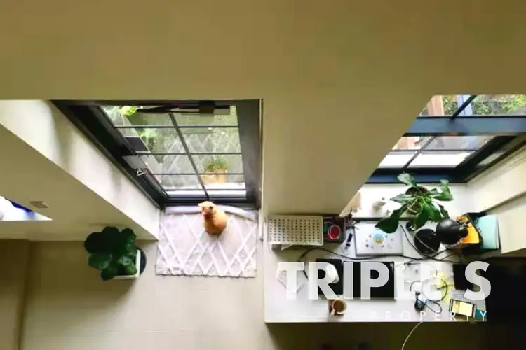 Sixth view of Homely apartment listing, 10/11 Herbert Street, St Leonards NSW 2065