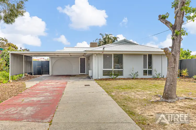 Fifth view of Homely house listing, 8 Tomlinson Place, Armadale WA 6112