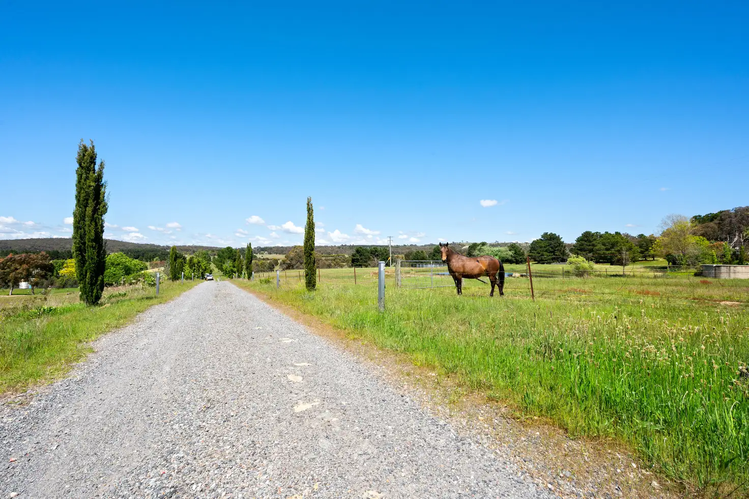 Main view of Homely house listing, 329 Weeroona Drive, Wamboin NSW 2620