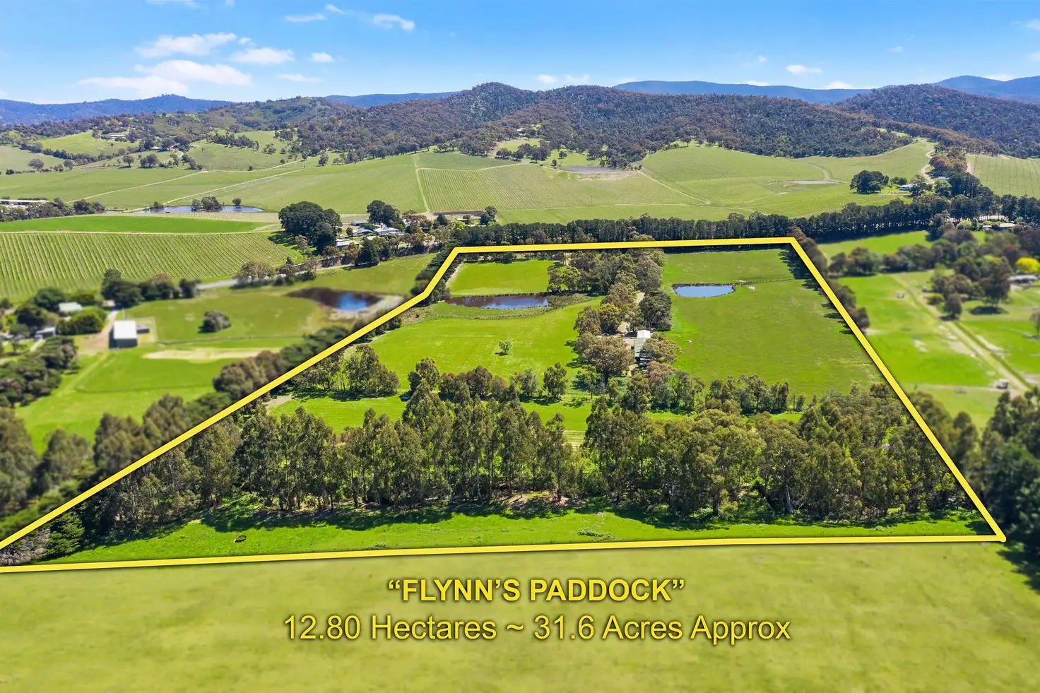 Main view of Homely rural property listing, 1830 Melba Highway, Dixons Creek VIC 3775